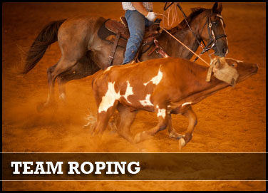 teamroping.jpg